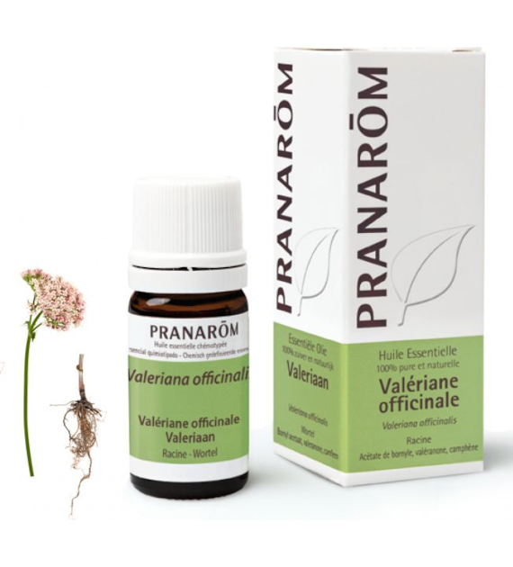 Olejek eteryczny walerianowy Waleriana Kozłek lekarski Valeriana officinalis 5ml PRANARÔM