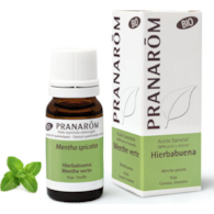 Olejek eteryczny miętowy Mięta zielona Spearmint Mentha spicata 10ml PRANARÔM BIO