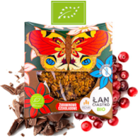 Ciastko z żurawiną i czekoladą 40g IRENKI BIO